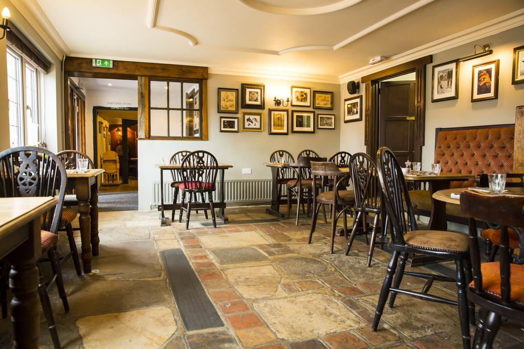 The Anvil Inn بلاندفورد فوروم المظهر الخارجي الصورة